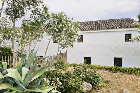 Landejendom i Rute, Cordoba, Rute - € 325.000 | Ref: Ella - foto 45